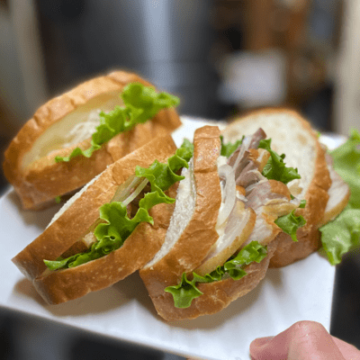 The song of the timid caterpillarのジャケット写真