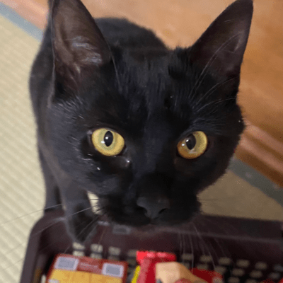 The Off Black Front Cover