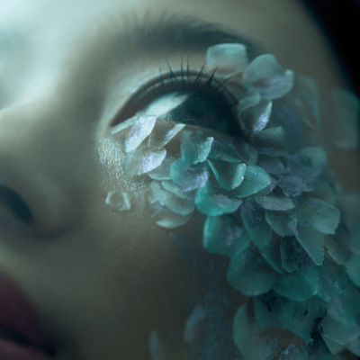 fish bone Front Cover