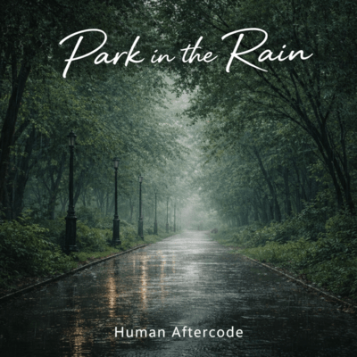 Park in the Rain Front Cover