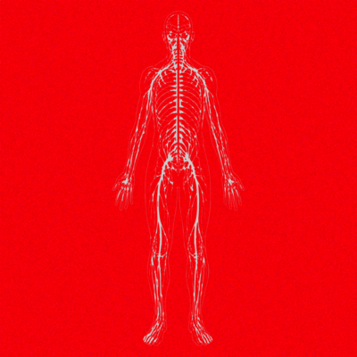 Angolmois Front Cover