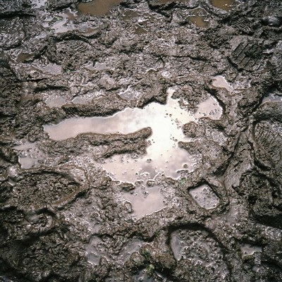 Weather reportのジャケット写真