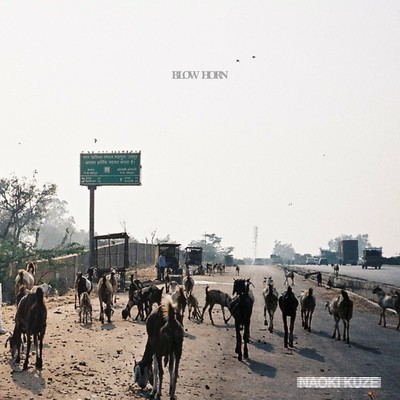 BLOW HORN Front Cover