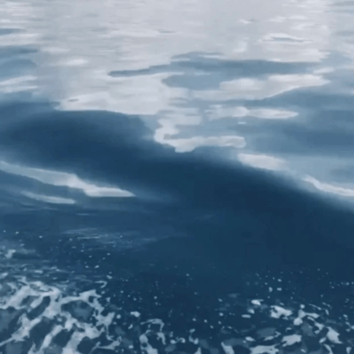 blueのジャケット写真