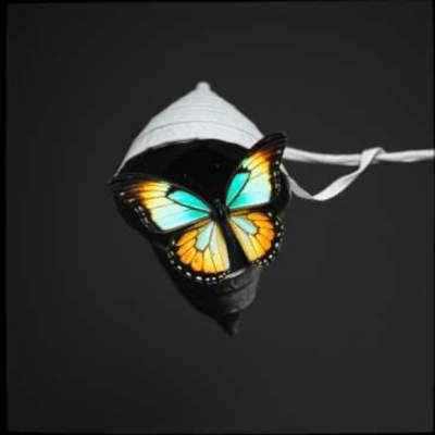 Fading to Colorのジャケット写真