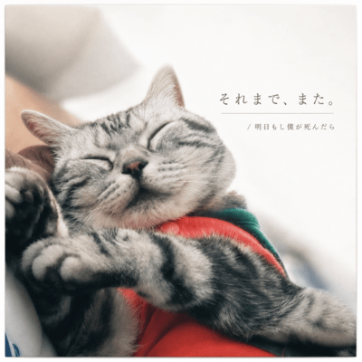 Until then, see you later. / If I die tomorrow Front Cover