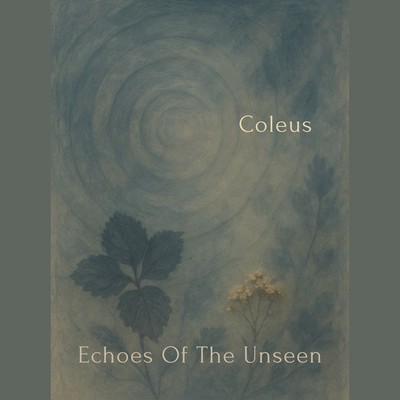 Echoes Of The Unseen Front Cover