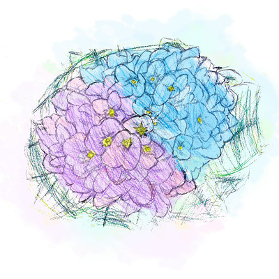 あじさいのジャケット写真