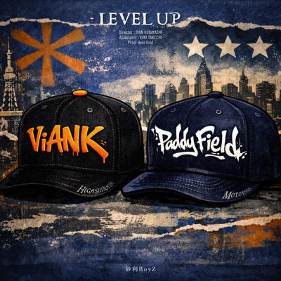 LEVEL UP (feat. ViANK & Paddy Field)のジャケット写真