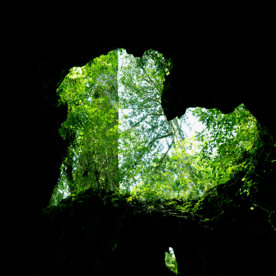 Ato Dolekulai (Yakushima Island) Front Cover