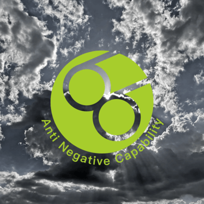 Anti Negative Capability Front Cover