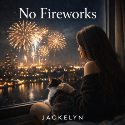 No Fireworks Front Cover