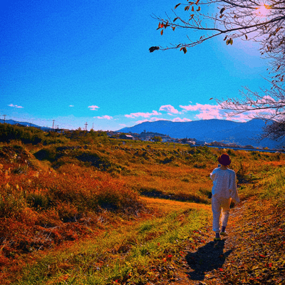 KONOMATHIDE Front Cover