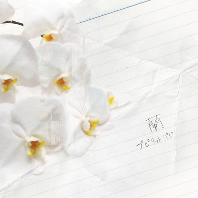 orchid Front Cover