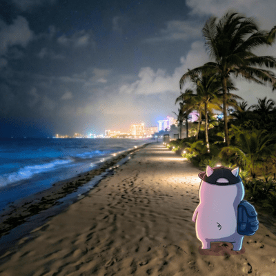 Walking Alone in Cancun at Night vol 1 Latin Moonlight and Caribbean Waves Front Cover