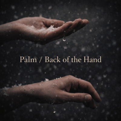 Palm / Back of the Hand Front Cover