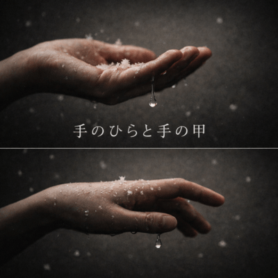 手のひらと手の甲のジャケット写真