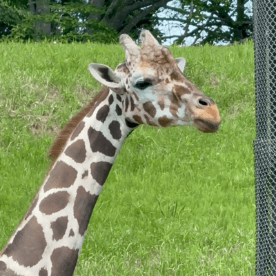 湊の月、壇ノ浦の夢のジャケット写真