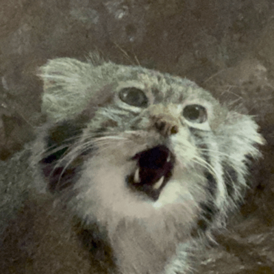 Oni Sakon howls in the mist Front Cover