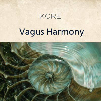 Vagus Harmony Front Cover