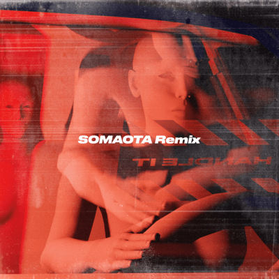 Handle it (SOMAOTA Remix) Front Cover