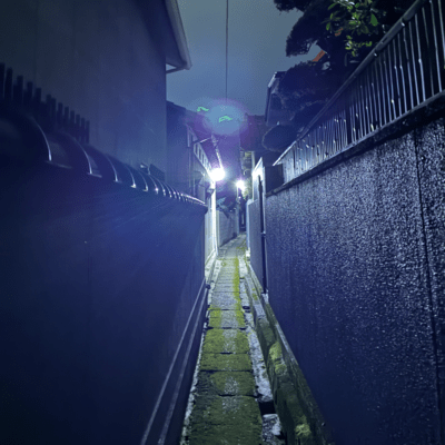 Necessary pain (feat. jellyda)のジャケット写真