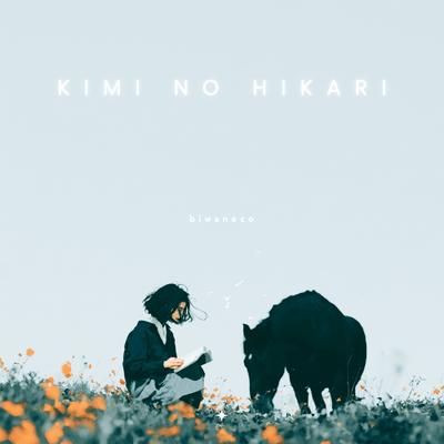 Kimi No Hikariのジャケット写真