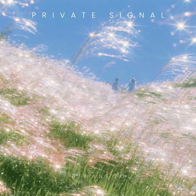 Private Signalのジャケット写真