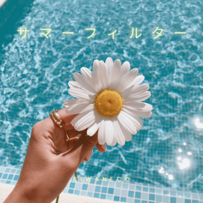 Summer Filter Front Cover