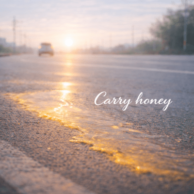 Carry honey Front Cover