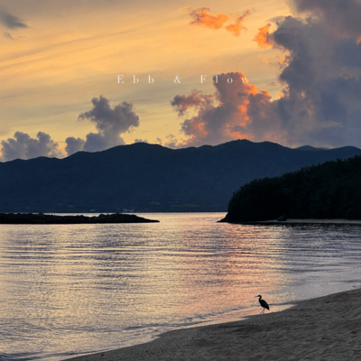 Ebb & Flow Front Cover