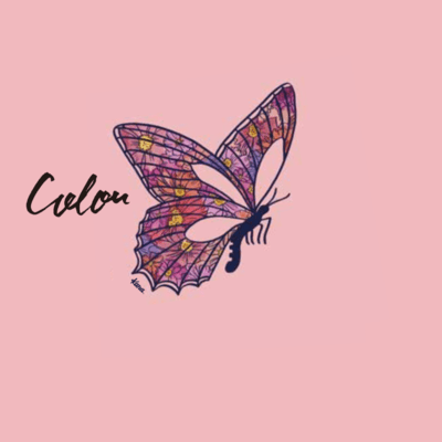 Color (Acoustic Cover) Front Cover