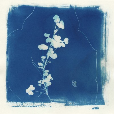 Growth Front Cover