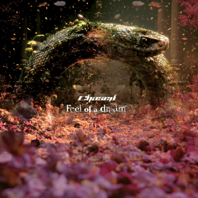 Feel of a dream Front Cover