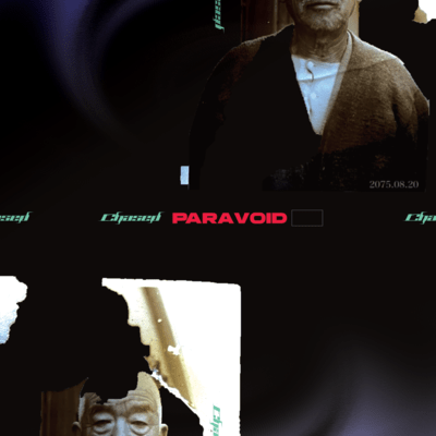 PARAVOID Front Cover
