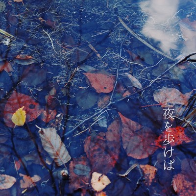 夜を歩けばのジャケット写真