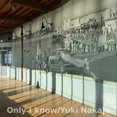 only I know Front Cover