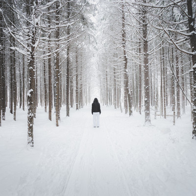 Pierrotのジャケット写真