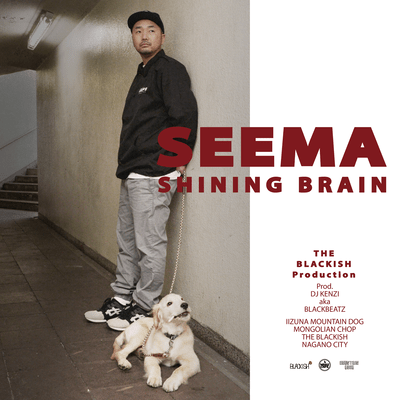 SHINING BRAINのジャケット写真