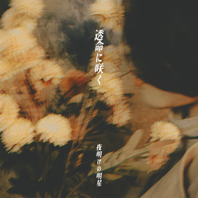 Transparent Bloom Front Cover