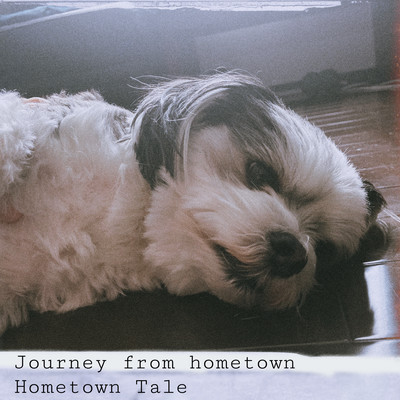 Journey from hometown Front Cover