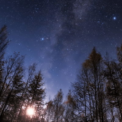 In the Middle of Fate Front Cover