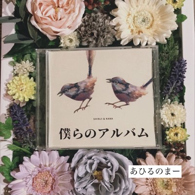 僕らのアルバムのジャケット写真