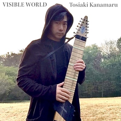 VISIBLE WORLD Front Cover