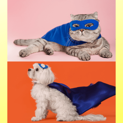 The Pawsome Hero Front Cover