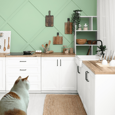 Stay home alone Front Cover