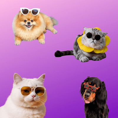 チョコモモココハナのジャケット写真