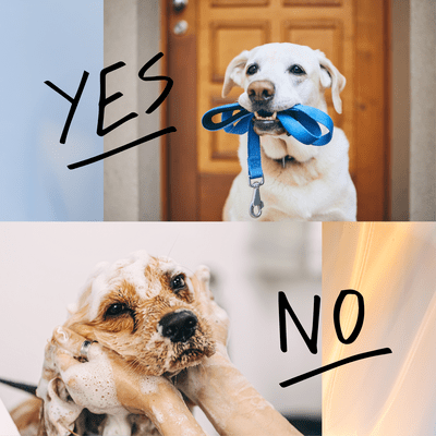 これはスキ!あれはイヤ!のジャケット写真