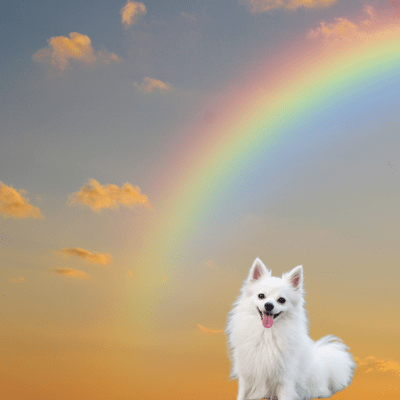 またねの約束のジャケット写真