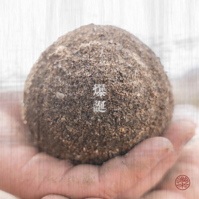 Revelation Front Cover